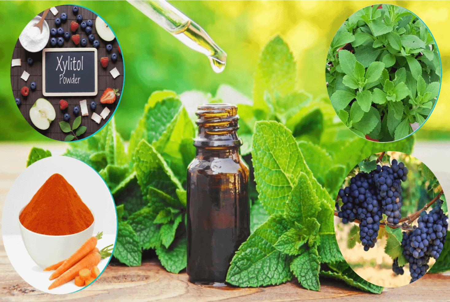 Biodentix